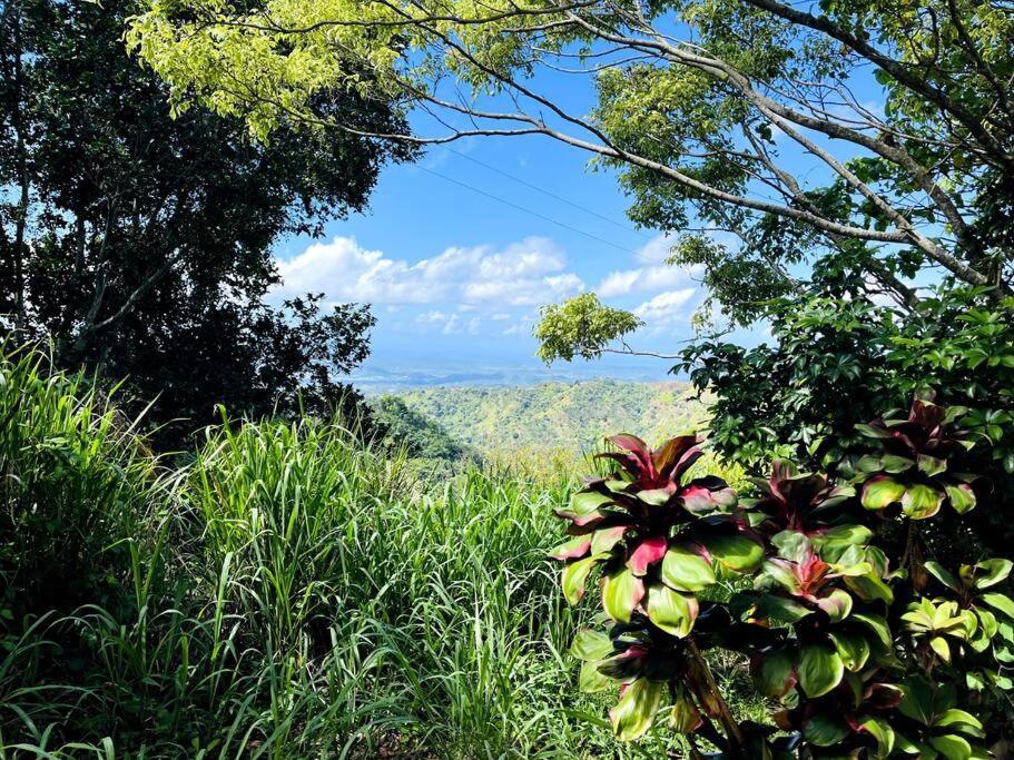 Villa Verde Luz: A Virgin Forest Yauco Eksteriør bilde